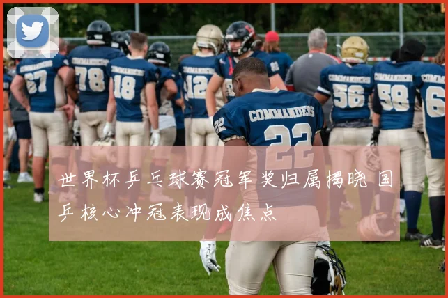 世界杯乒乓球赛冠军奖归属揭晓 国乒核心冲冠表现成焦点