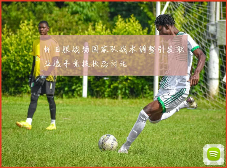 怀旧服战场国家队战术调整引发职业选手竞技状态讨论