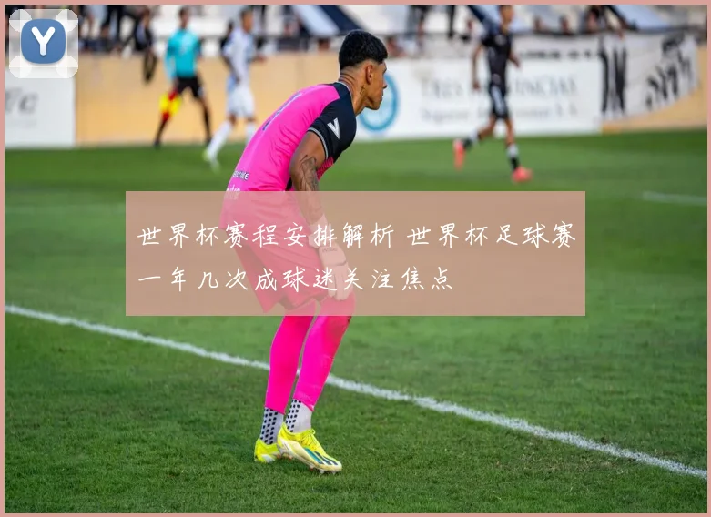 世界杯赛程安排解析 世界杯足球赛一年几次成球迷关注焦点