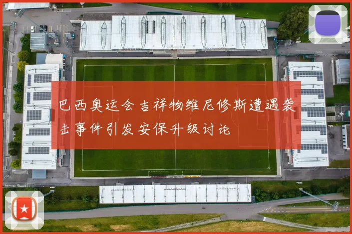 巴西奥运会吉祥物维尼修斯遭遇袭击事件引发安保升级讨论