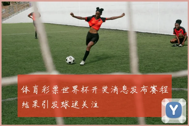 体育彩票世界杯开奖消息发布赛程结果引发球迷关注
