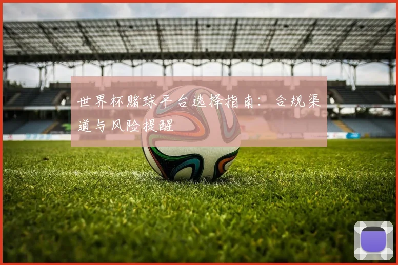 世界杯赌球平台选择指南：合规渠道与风险提醒
