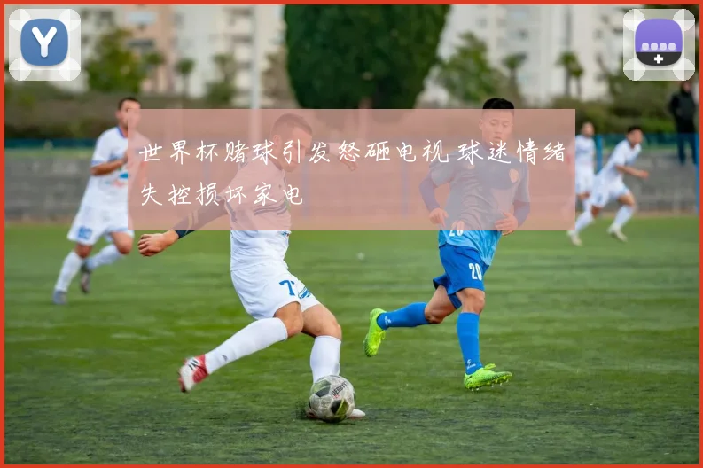世界杯赌球引发怒砸电视 球迷情绪失控损坏家电